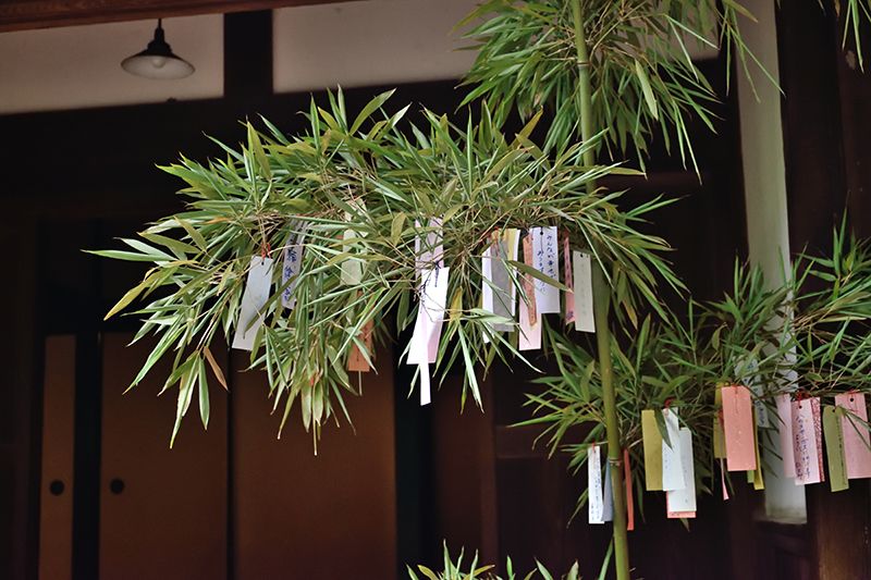 Ý nghĩa những đồ vật trang trí trong lễ hội Tanabata | KILALA
