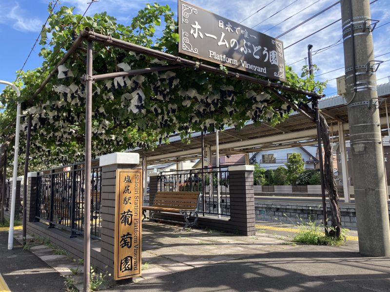 vườn nho sân ga xe lửa duy nhất của Nhật Bản