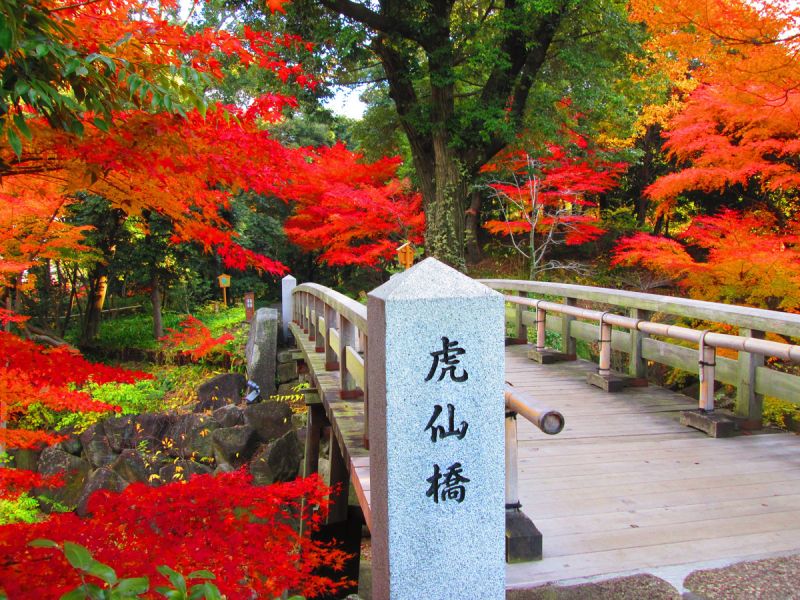 Top 5 địa điểm ngắm lá đỏ tuyệt đẹp ở tỉnh Aichi | KILALA