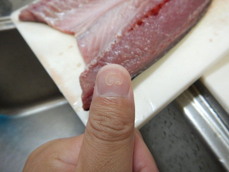Se puede comer pescado con anisakis